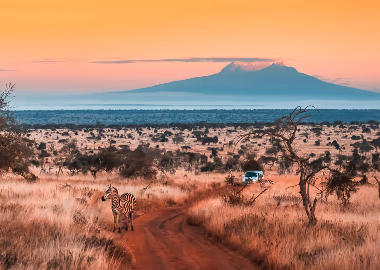 Kilimanjaro & Meru Climbs